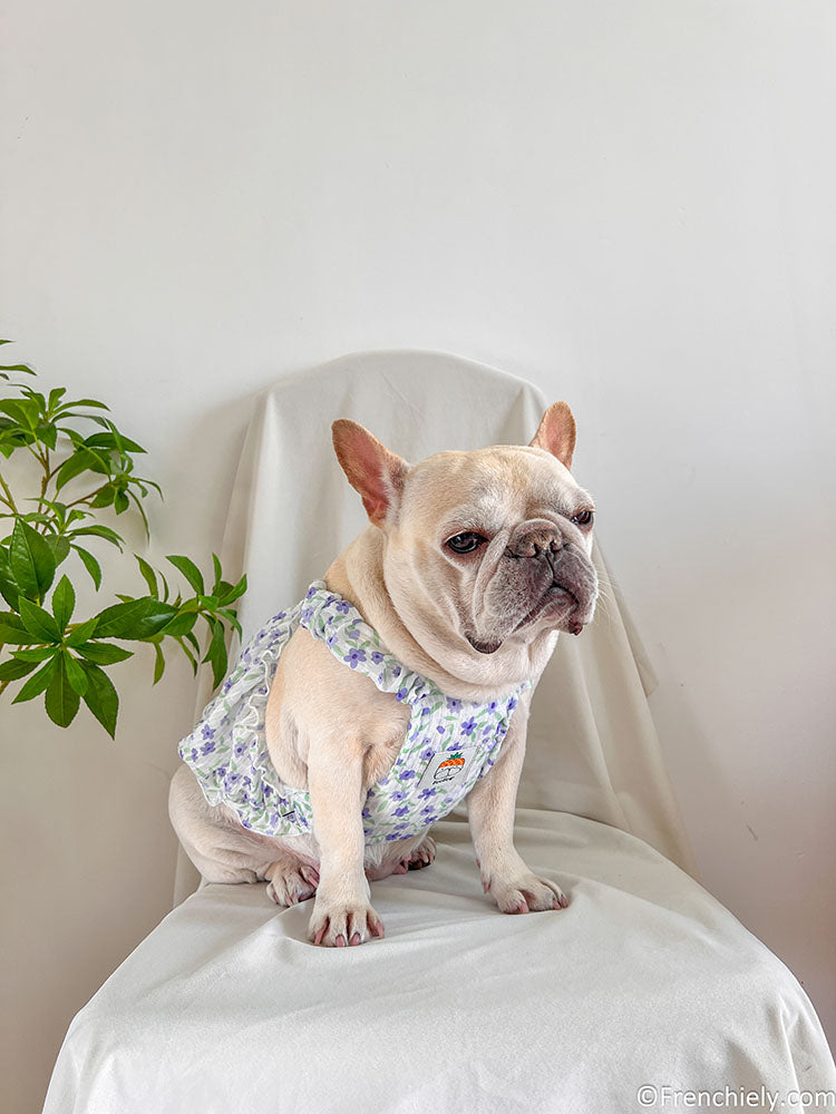 dog purple floral dress for small medium dogs by frenchiely