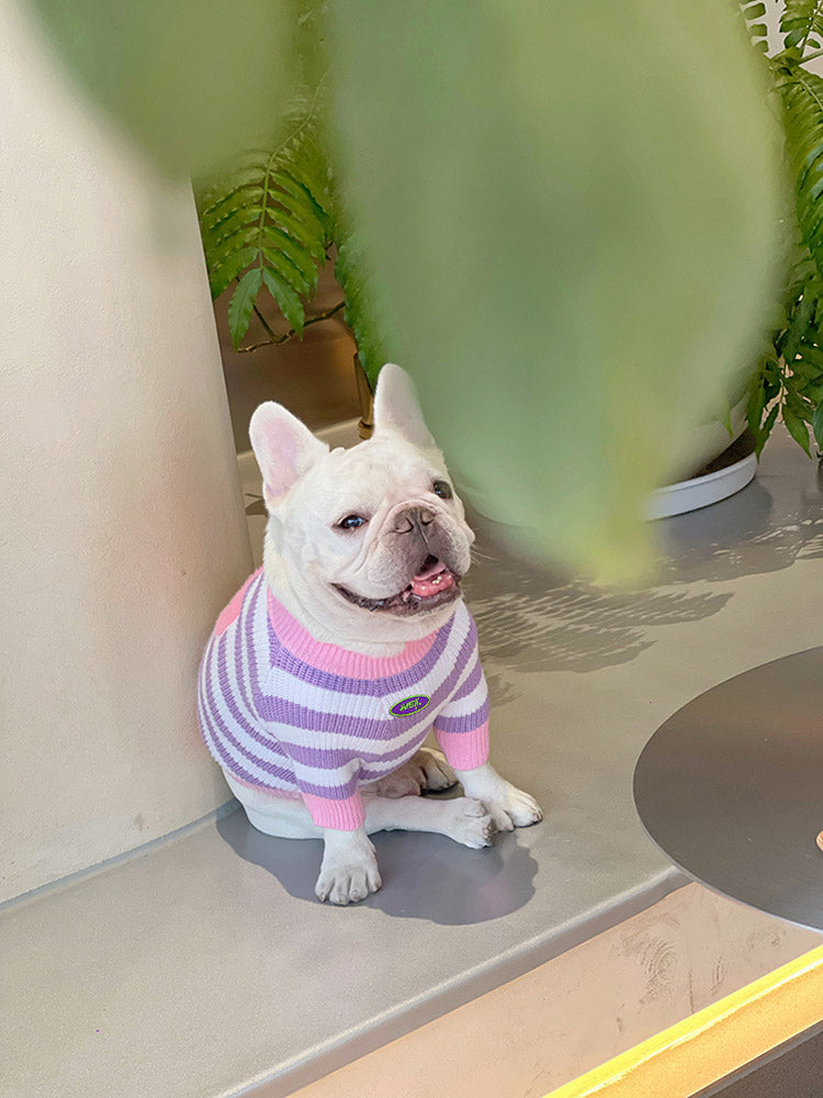 Dog Purple Flower Sweater - Frenchiely