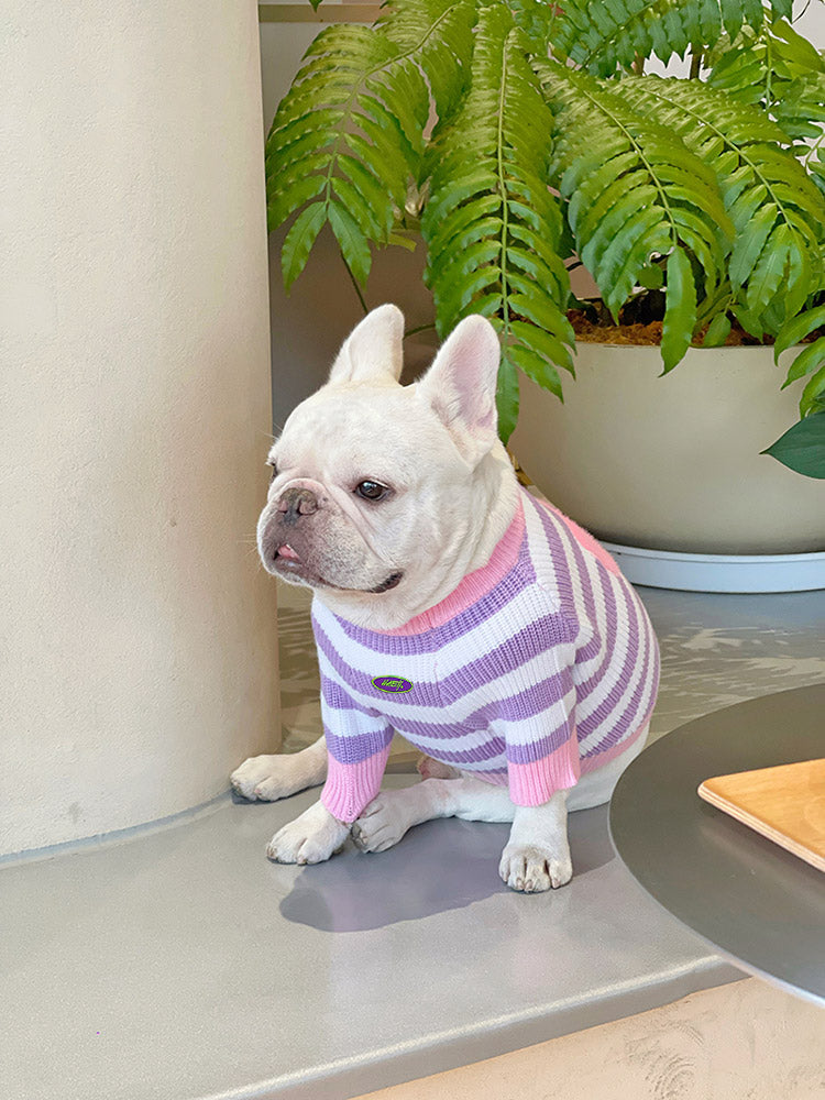 Dog Purple Flower Sweater - Frenchiely
