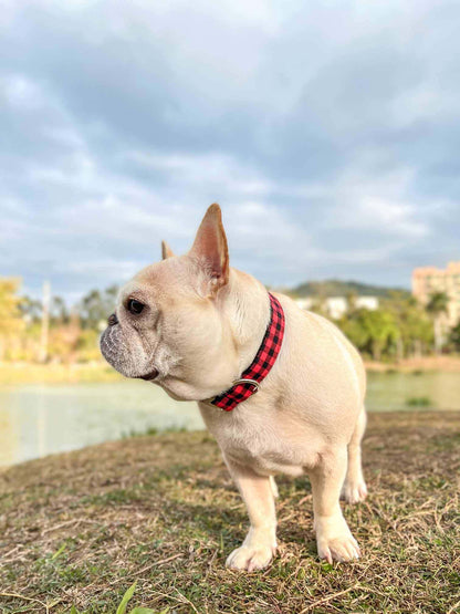 Dog Red Buffalo Collar - Frenchiely