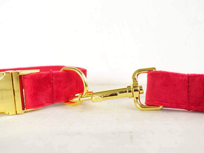 Dog Christmas Collar Leash Set - Frenchiely
