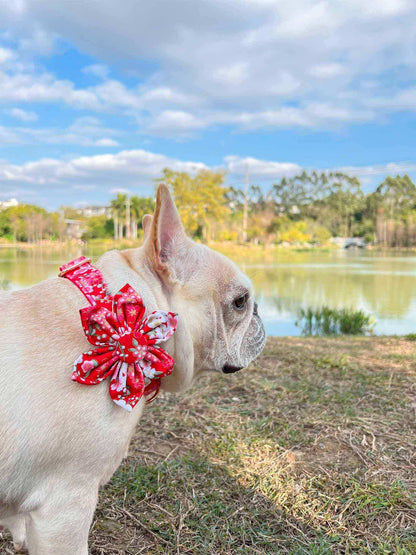 Dog Red Flower Collar - Frenchiely