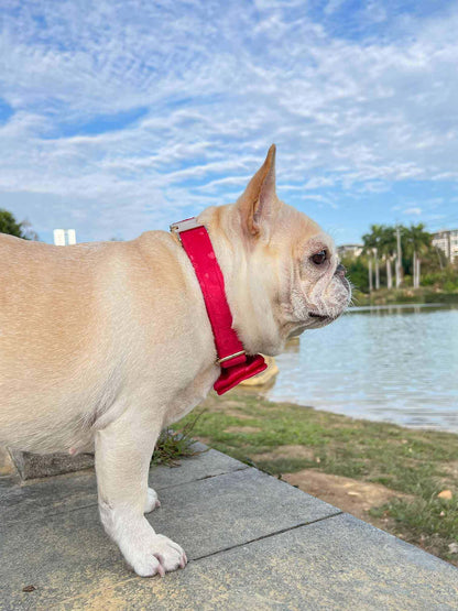 Dog Red Heart Leash Set - Frenchiely