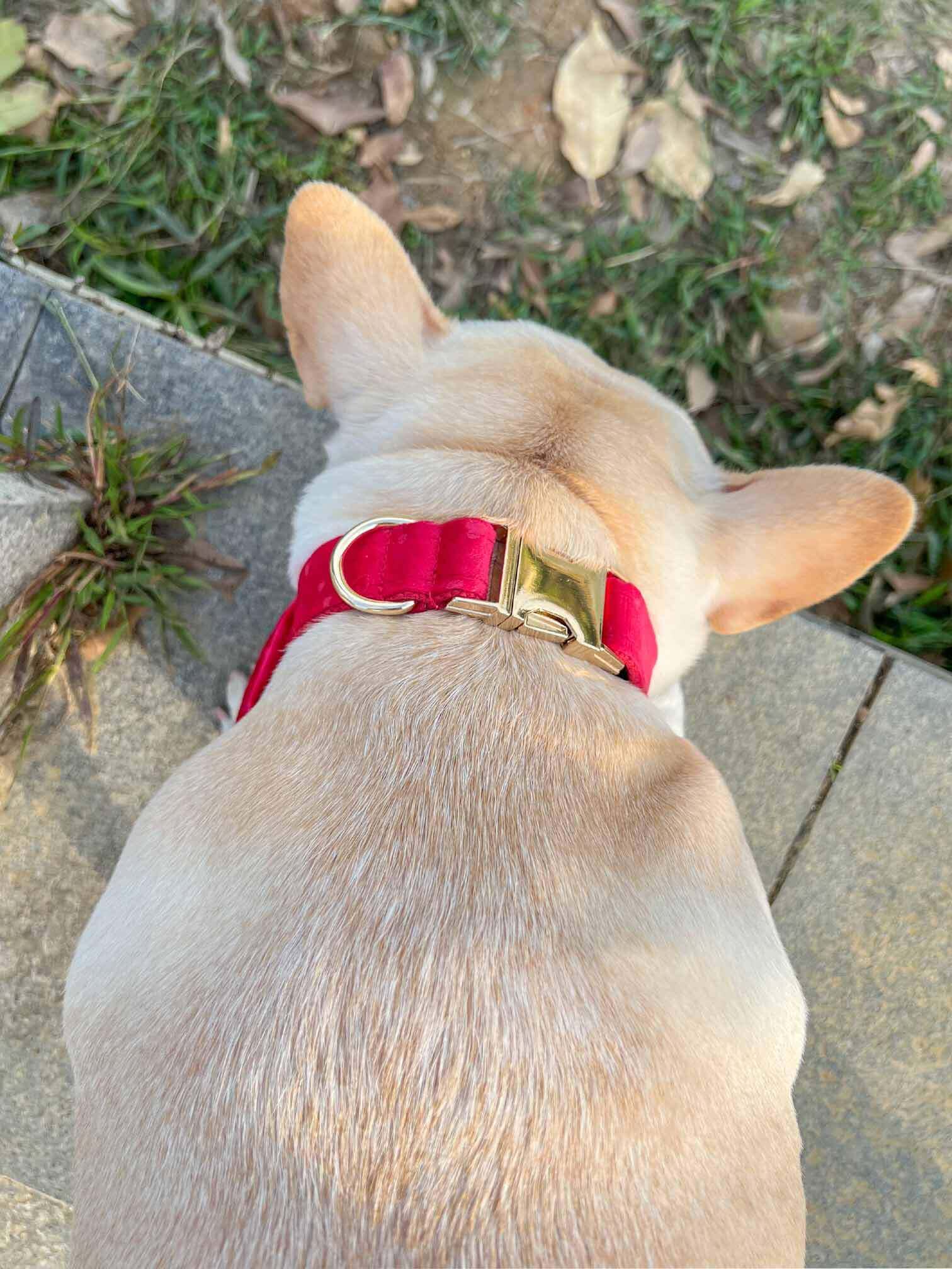 Dog Red Heart Velvet Collar - Frenchiely