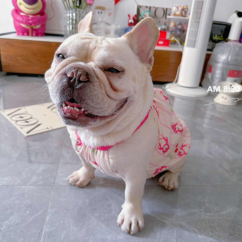 Dog Pink Bear Dress for small medium dogs by Frenchiely