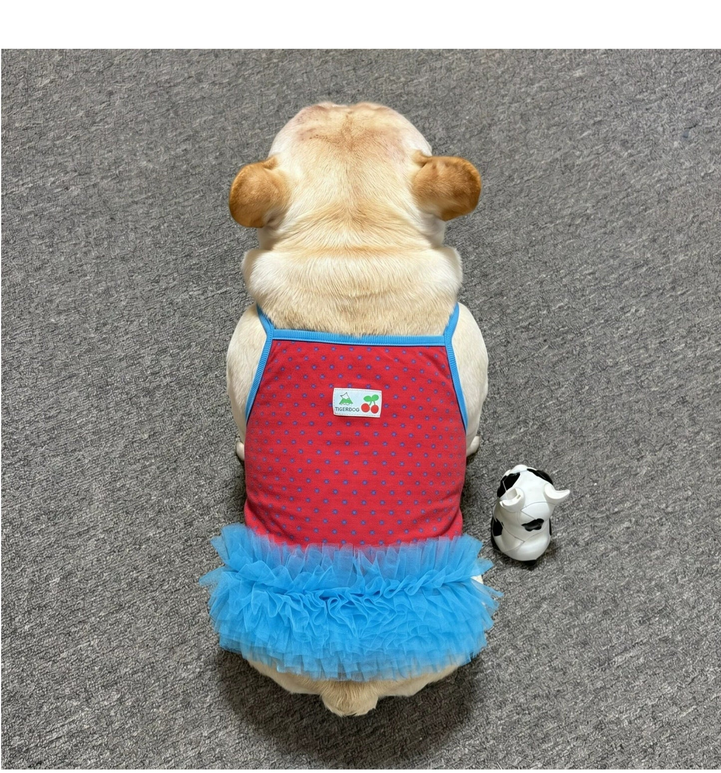 Dog Red Polka Tutu Dress dogredpolkatutudressformediumdogsbyFrenchiely_12
