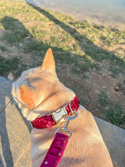 Dog Red Velvet Leash Set - Frenchiely