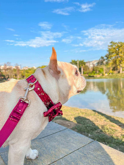 Dog Red Velvet Leash Set - Frenchiely