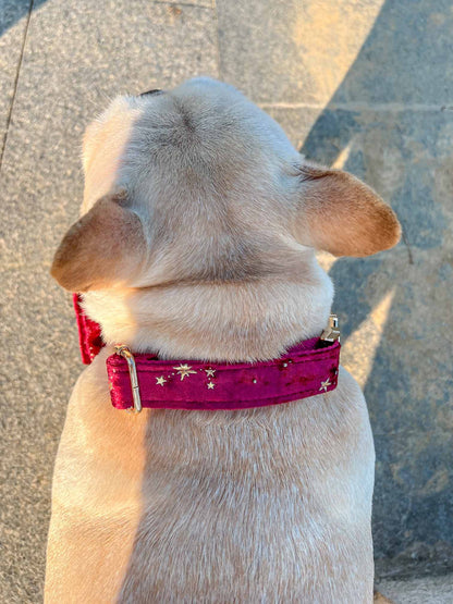 Dog Red Velvet Star Collar - Frenchiely