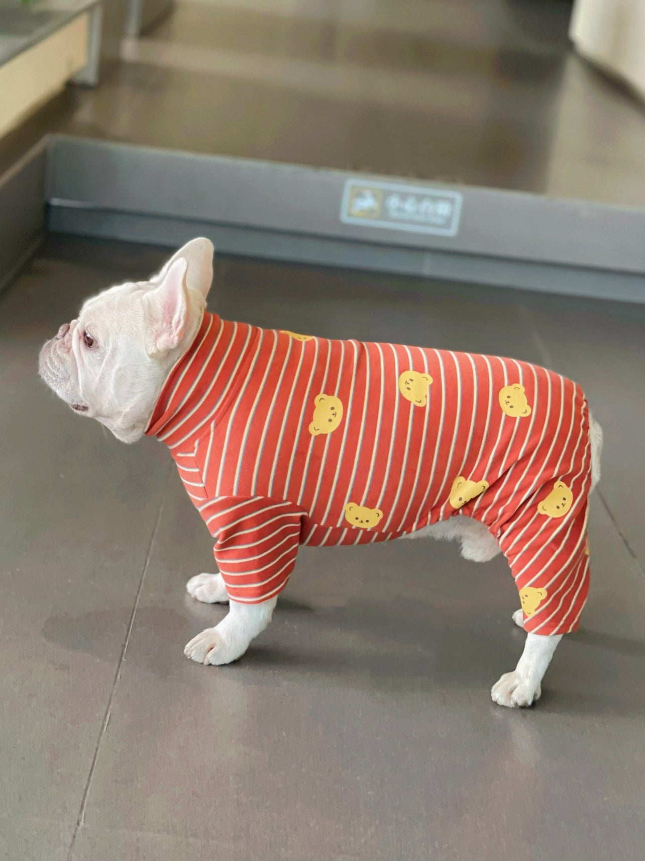 Dog Orange Striped Pajamas Onesie - Frenchiely