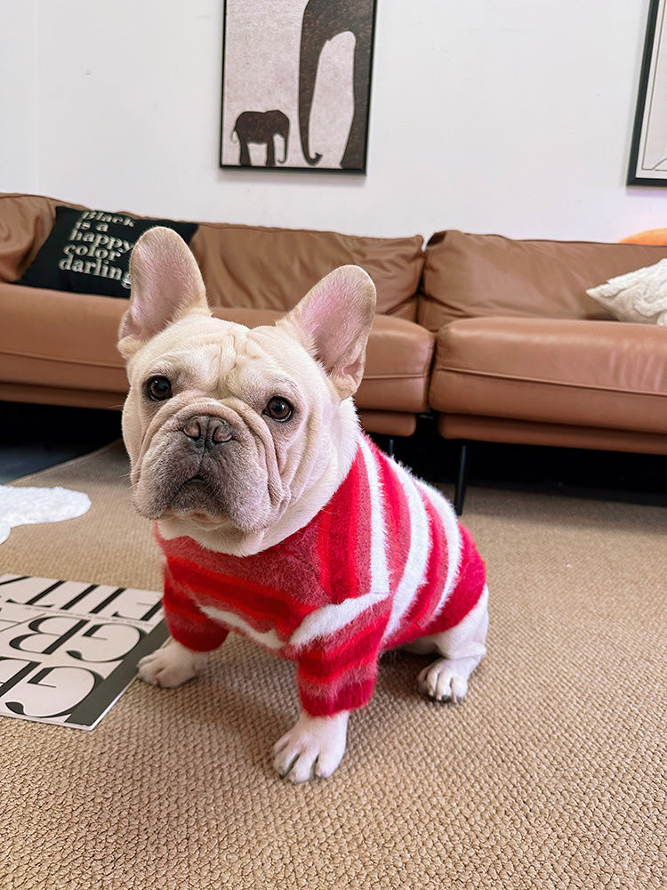 Dog Red Christmas Stripe Sweater - Frenchiely