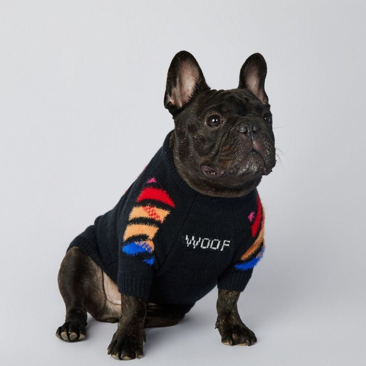 Dog Colored Woof Sweater - Frenchiely