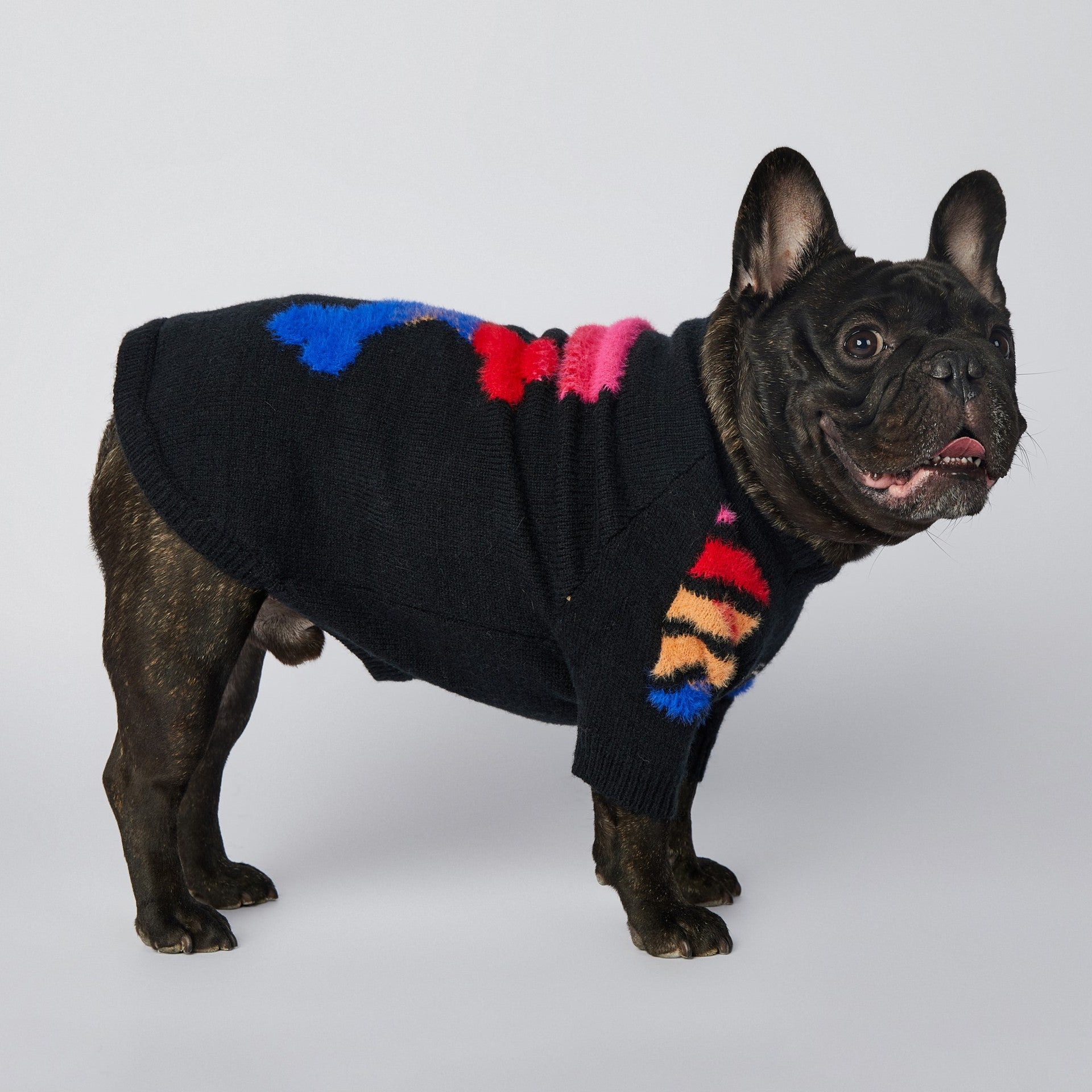 Dog Colored Woof Sweater - Frenchiely