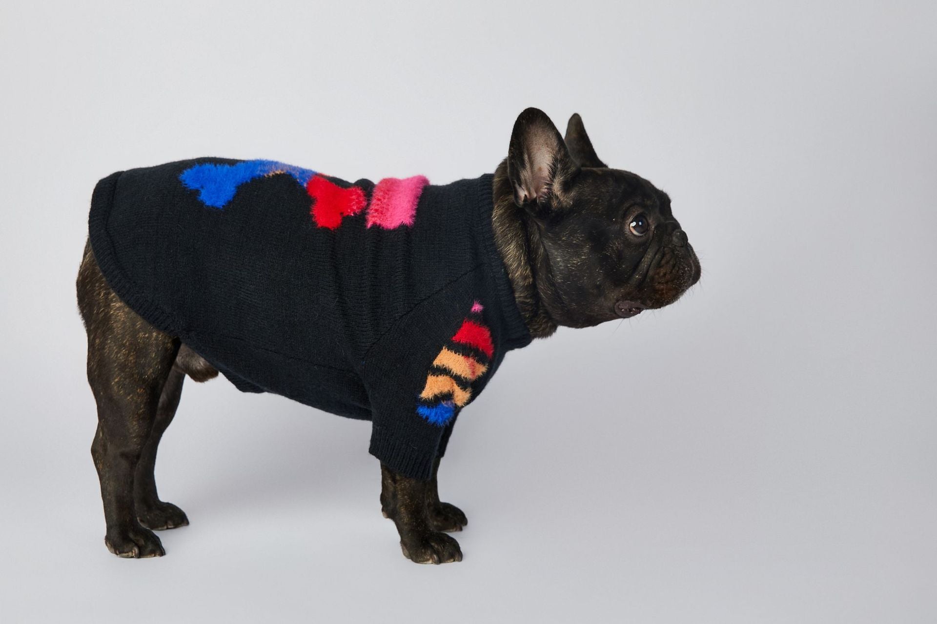 Dog Colored Woof Sweater - Frenchiely