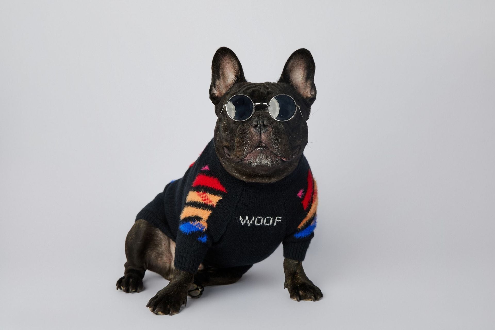 Dog Colored Woof Sweater - Frenchiely