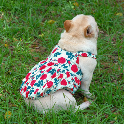 Roses Summer Dress