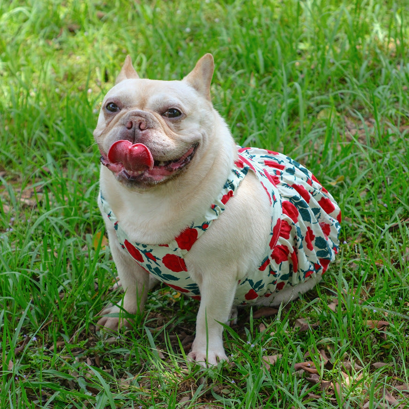 Roses Summer Dress