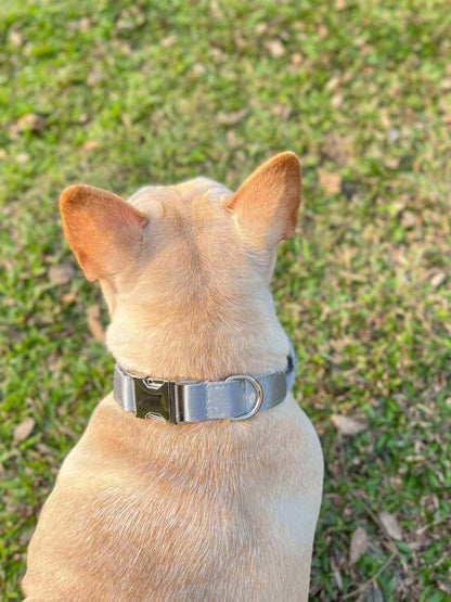 Dog Silver Collar Leash Set - Frenchiely