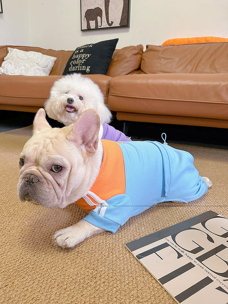 Dog Winter Sport Onesie Jumpsuit for small medium dogs by Frenchiely