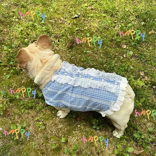 Summer Blue Shirt dogstretchybluelaceshirtformediumdogbreeds_8