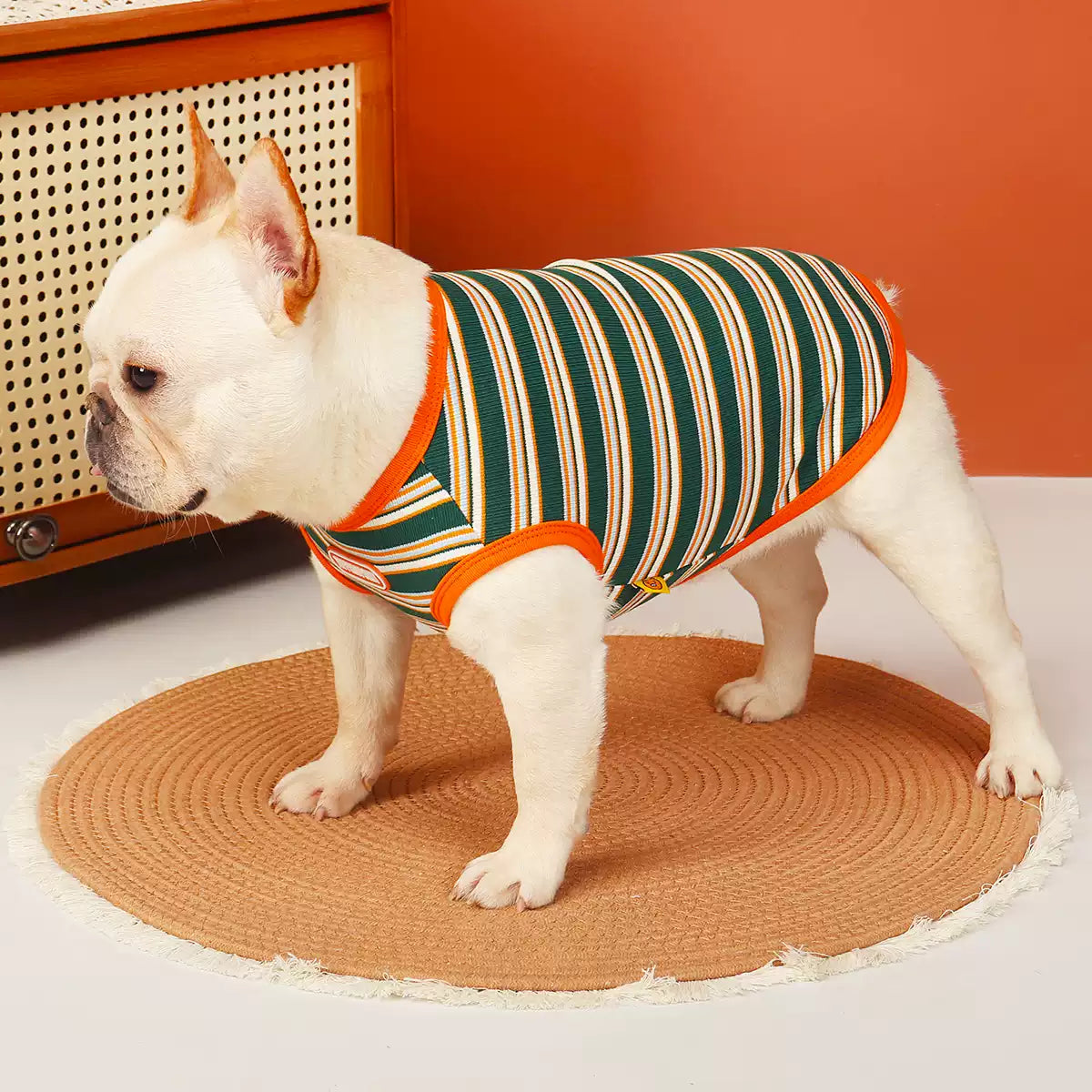 Stripe Cotton Shirt