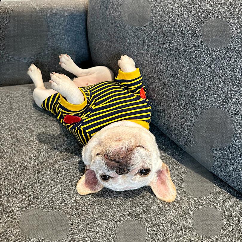 Dog Stripe Shirt with Heart Logo