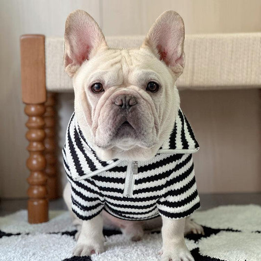 Dog Black Stripe Zipper-up Sweater for Chunky French Bulldogs