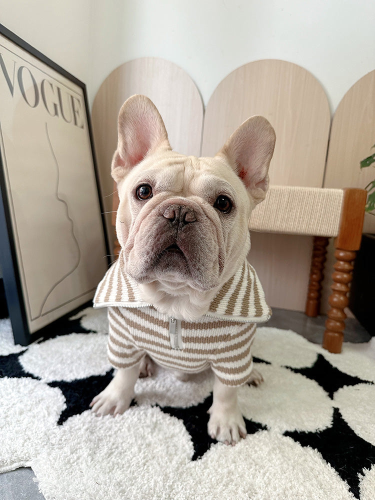 Dog Black Stripe Zipper-up Sweater for Chunky French Bulldogs