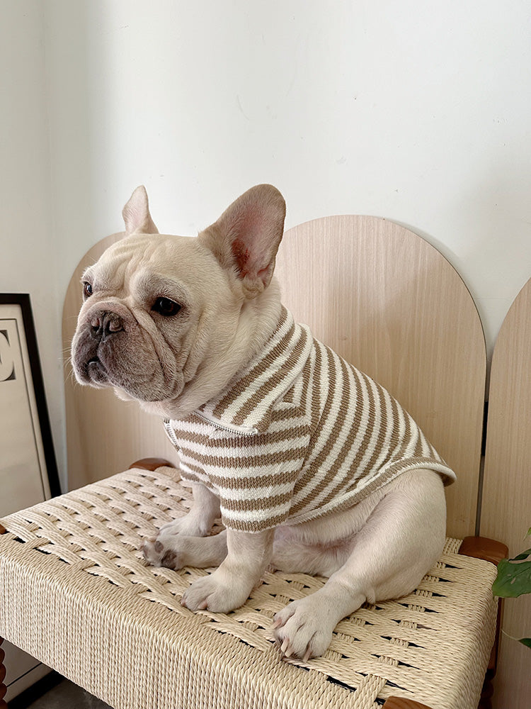 Dog Black Stripe Zipper-up Sweater for Chunky French Bulldogs