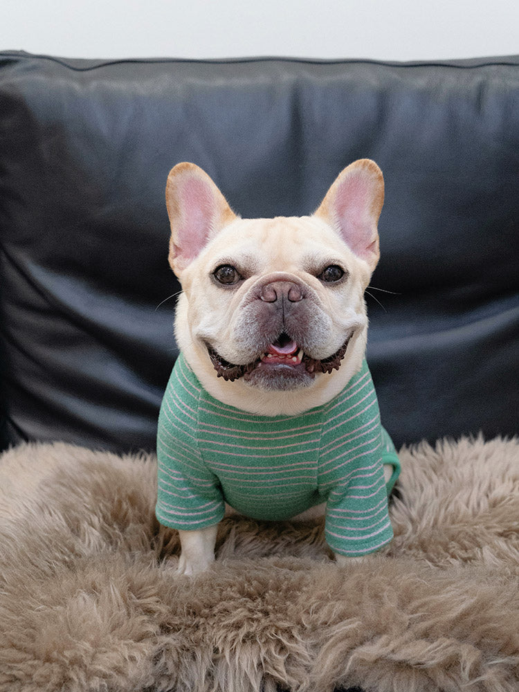 All Seasons Stripe PJs