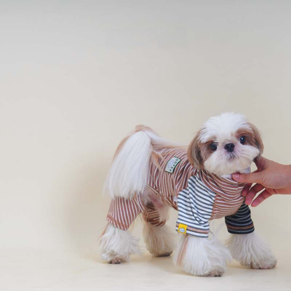 Senior Dogs Turtle-Neck Pajamas