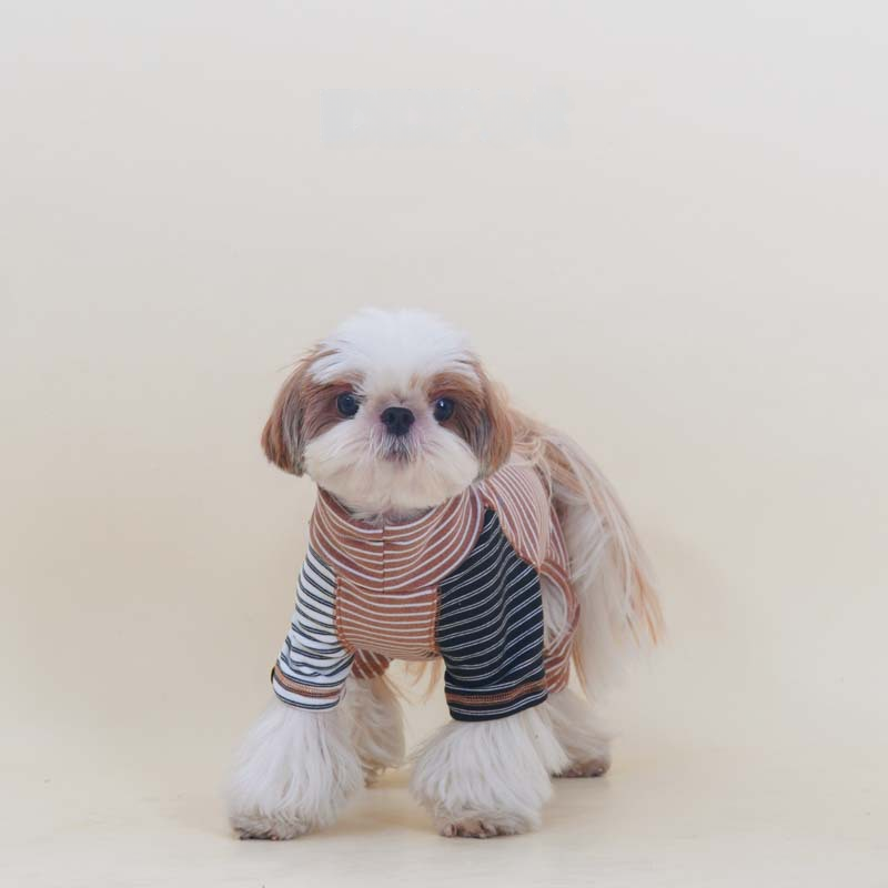 Senior Dogs Turtle-Neck Pajamas