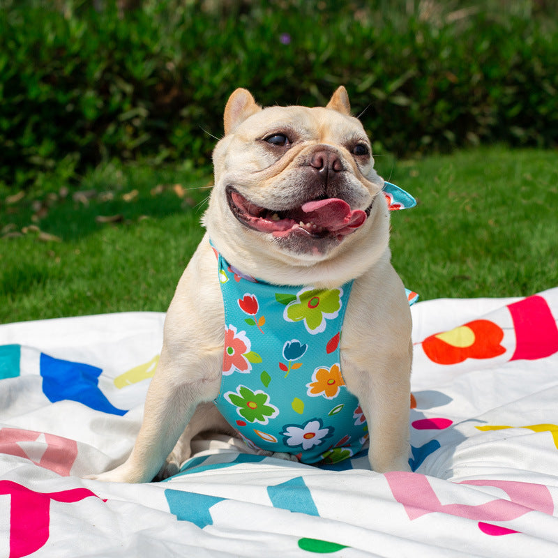 dog summer cooling vest for medium dog breedsd 