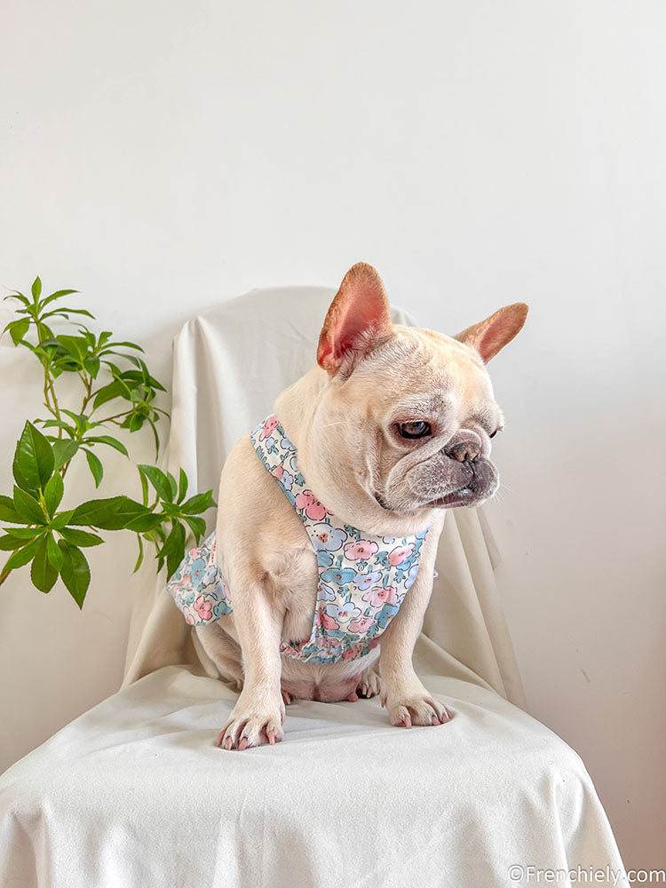 Dog Blue Floral Dress - Frenchiely