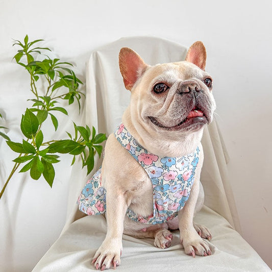 dog blue floral dress for small medium dogs by frenchiely