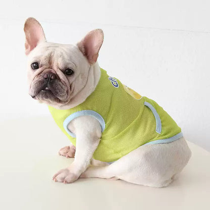 Dog Summer Green Mesh Shirt 'Cheese' dogsummergreenmeshshirtformediumdogs_2