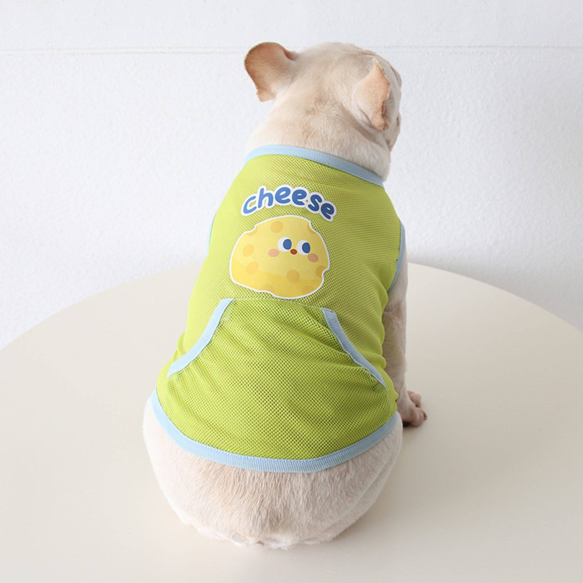 Dog Summer Green Mesh Shirt 'Cheese' dogsummergreenmeshshirtformediumdogs_7