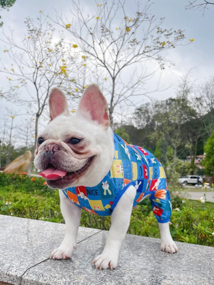 Dog Mesh Stretchy Onesie PJs for small medium dogs by Frenchiely
