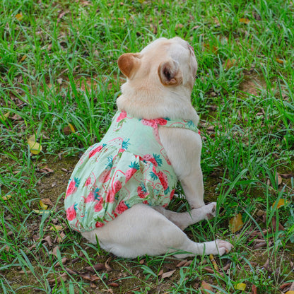 Summer Strawberry Dress