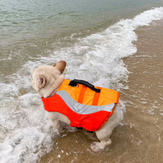 Dog Swim Trunk Lifejacket for French Bulldogs 