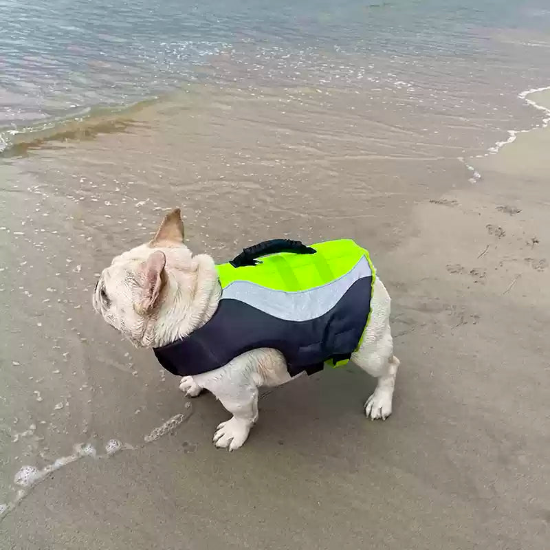 Dog Swim Trunk Lifejacket for French Bulldogs  by Frenchiely