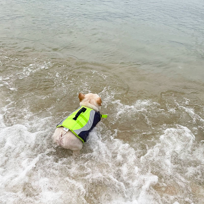 Dog Swim Trunk Lifejacket for French Bulldogs 