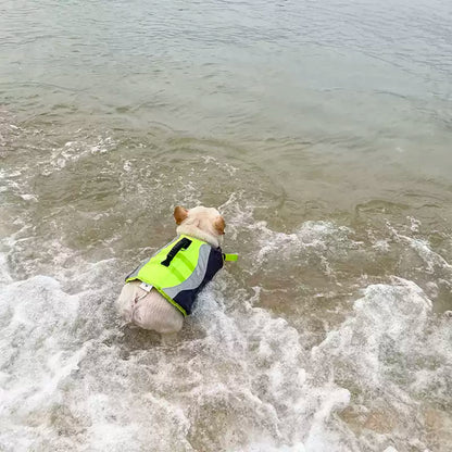 Dog Swim Trunk Lifejacket for French Bulldogs 
