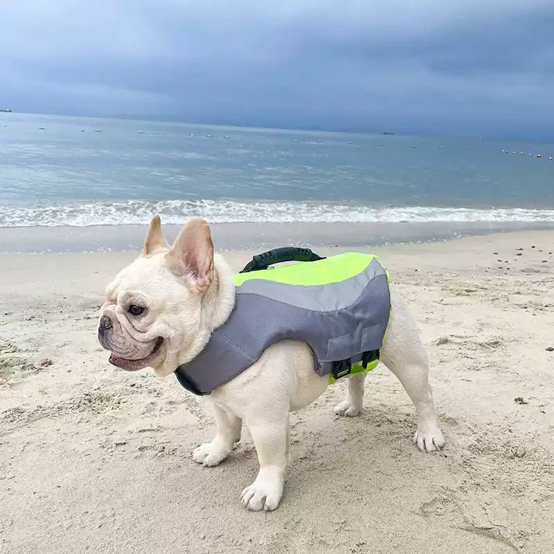 Dog Swim Trunk Lifejacket for French Bulldogs 