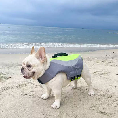 Dog Swim Trunk Lifejacket for French Bulldogs 