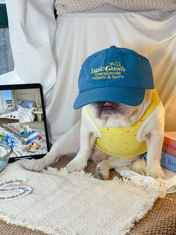 Breathable Waffle Lucky Puppy Shirt dogsummerwaffleshirtformediumdogbreeds_5