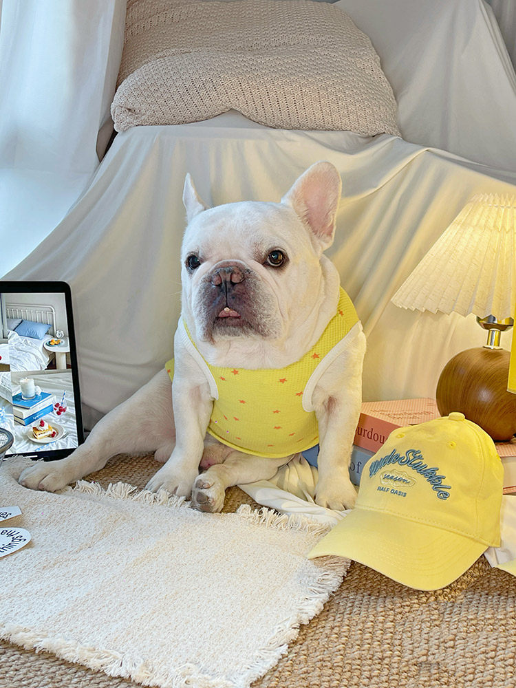 Breathable Waffle Lucky Puppy Shirt dogsummerwaffleshirtformediumdogbreeds_9