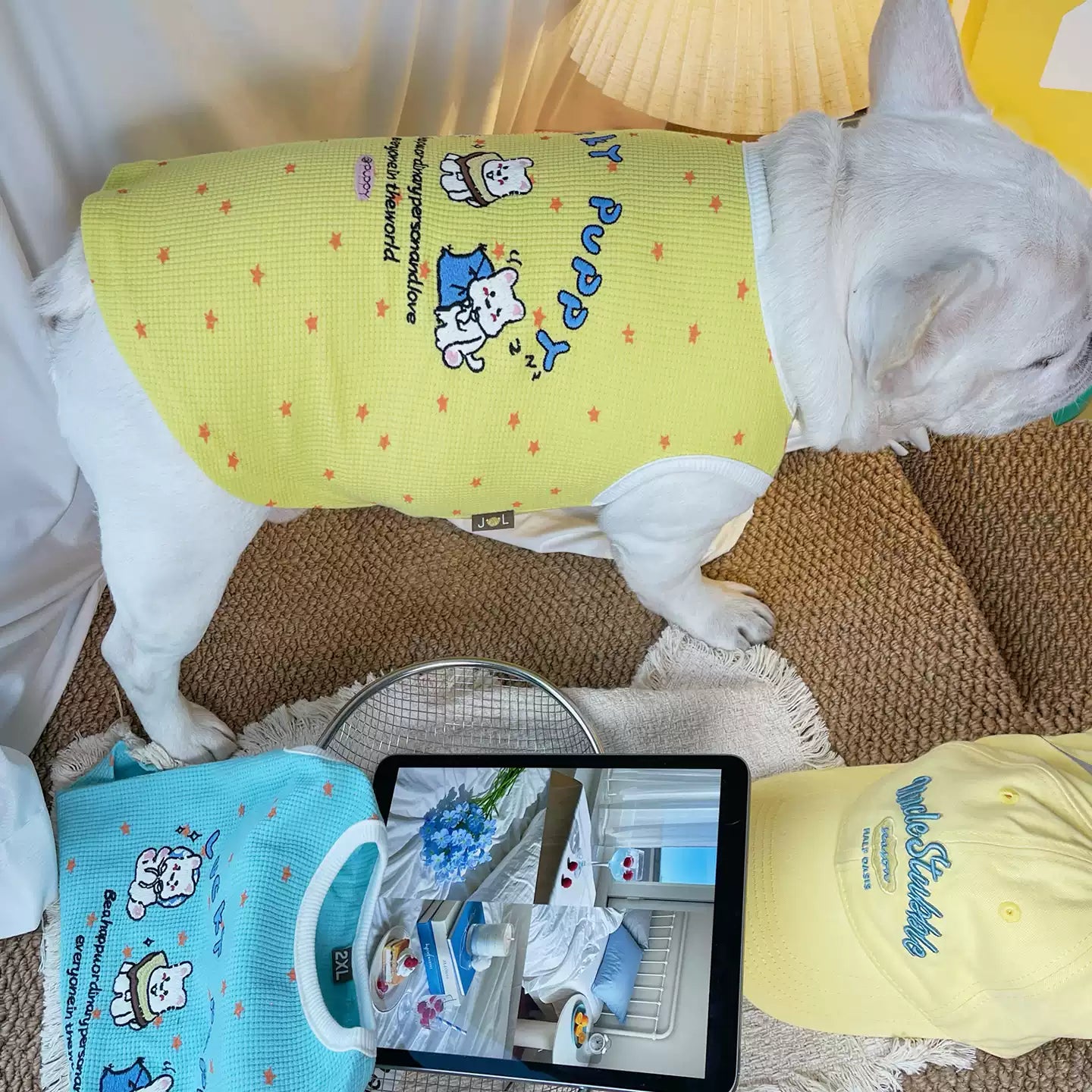 Breathable Waffle Lucky Puppy Shirt dogsummerwaffleshirtformediumdogbreeds_9