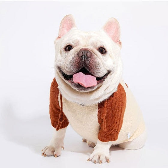 Dog Vintage Style Hooded Sweater Sweatshirt for medium dog breeds