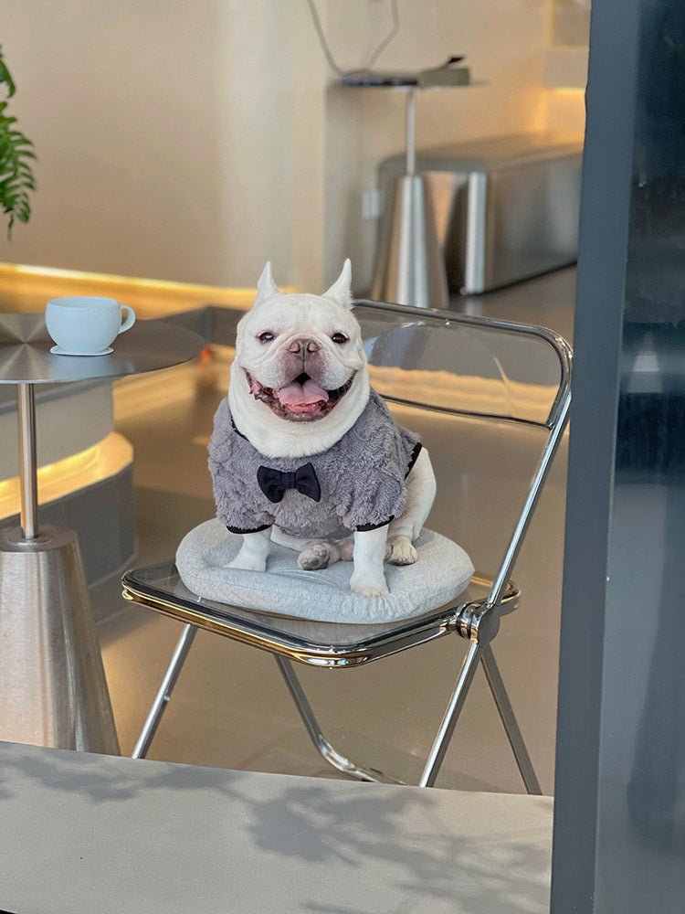 Dog Pullover Sweater with Necktie for small medium dogs by frenchiely